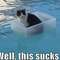 funny-awesome-photos-47.jpg