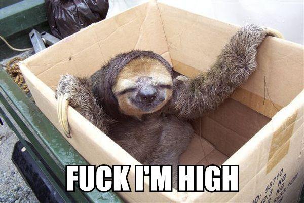 fuckI'mhigh.jpg