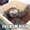 fuckI'mhigh.jpg