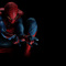spiderman 2012.jpg