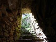 14034_Gurlo.jpg