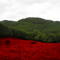 BULGARIA_by_j0rdancho.jpg