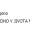 ronito.png