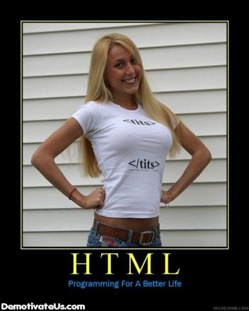554d1293636809-motivtionals-demotivationals-pictures-html-tits-demotivational-poster-jpg