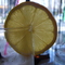 S8300236.JPG