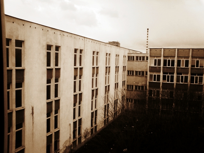 DSC03310.JPG