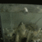 zGTLe.gif