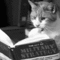 tumblr_lhhvxsKvFj1qb82q8o1_500.gif