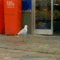 tumblr_lgtfzxkKaK1qbay3c.gif