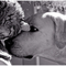 Friends_by_d1kobraz.jpg