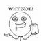 why not.JPG