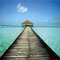 borchi-massimo-jetty-maldives.jpg
