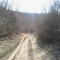 2011-03-24 14.31.52.jpg
