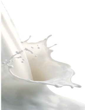 milk.jpg