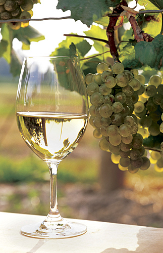 white_wine_and_glass.jpg