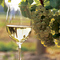 white_wine_and_glass.jpg