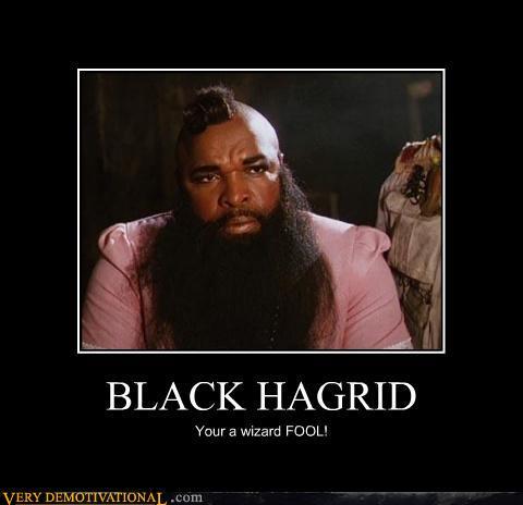 demotivational-posters-black-hagrid.jpg