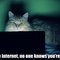 pisis on internet.jpg