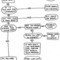funny graphs - Stay Hairy, San Francisco.jpeg