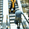 scorpion_escalator.gif
