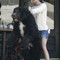 rachel-bilson-and-dog.jpg