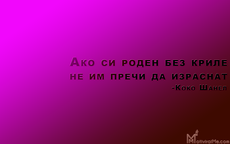 ako_roden_bez_krile_prechi_izrasnat_koko_shanel_motiviraime.com_1920x1200.png