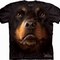 thumbs_tshirts-0019.jpg