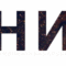 tumblr_lkml4rZyH31qa59p0o1_500.gif