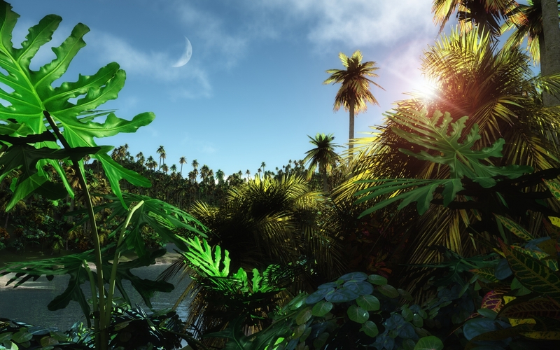 Tropic-Jungle.jpg