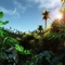 Tropic-Jungle.jpg
