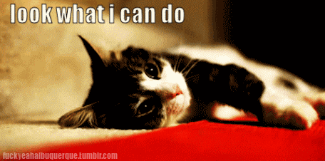 tumblr_ll63oxrbSQ1qanb21o1_500.gif