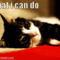 tumblr_ll63oxrbSQ1qanb21o1_500.gif