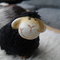black_sheep_by_reflectionmirror-d3gjwh1.jpg