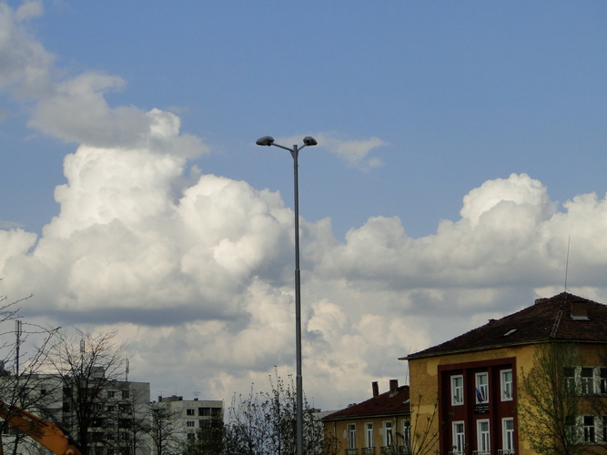 DSC01877.JPG