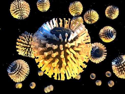 20100319141830rotavirus.jpg