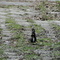 DSC01573.JPG
