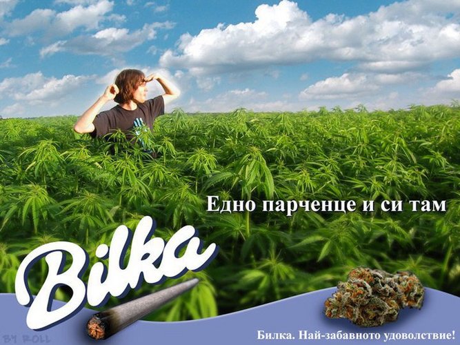bilka.jpg