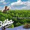 bilka.jpg