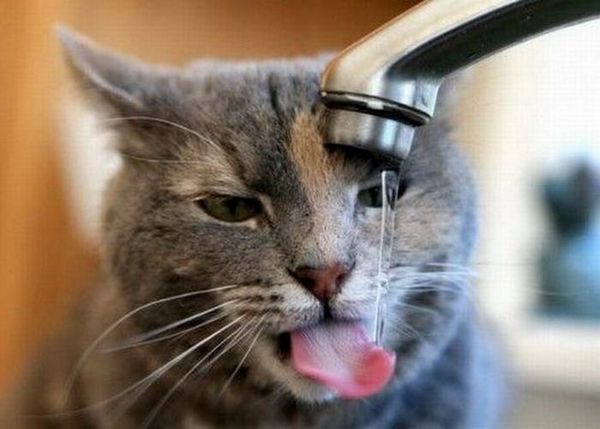 acid_picdump_24.jpg