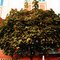 a_three_by_gogata2427-d3iezsj.jpg