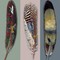 Feather-Painting-2-450x450.jpg