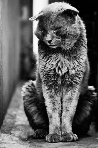 hard_life_by_phoenixeye-d36hmuu.jpg
