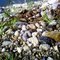 on_the_beach__d_by_gogata2427-d3iqc3j.jpg