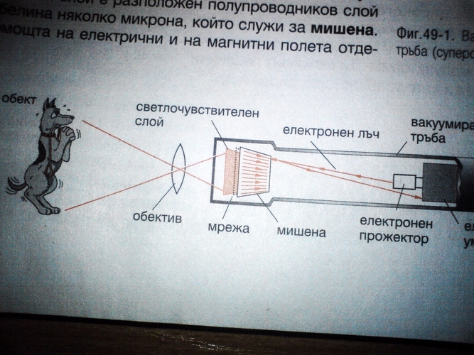 кученцето се моли.JPG