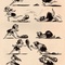 139749_460s.jpg