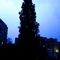 DSC02419.JPG