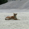 DSC02336.JPG