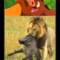 2_1305204110.png