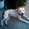 DSC04189.JPG