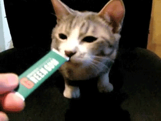 tumblr_lo3f14NCJo1qdqcy0o1_400.gif